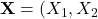 \mathbf{X} = (X_1, X_2