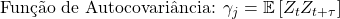 \text{Função de Autocovariância: }\gamma_j = \mathbb{E}\left[Z_{t}Z_{t+\tau}\right]