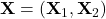\mathbf{X} = (\mathbf{X}_1, \mathbf{X}_2)