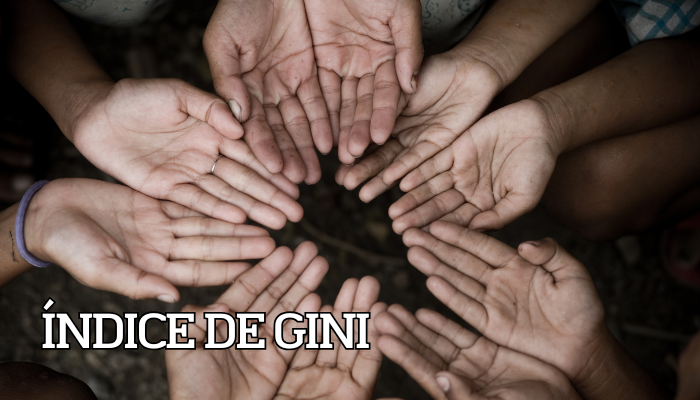 Desigualdade: 4 Maneiras de Calcular o Índice de Gini